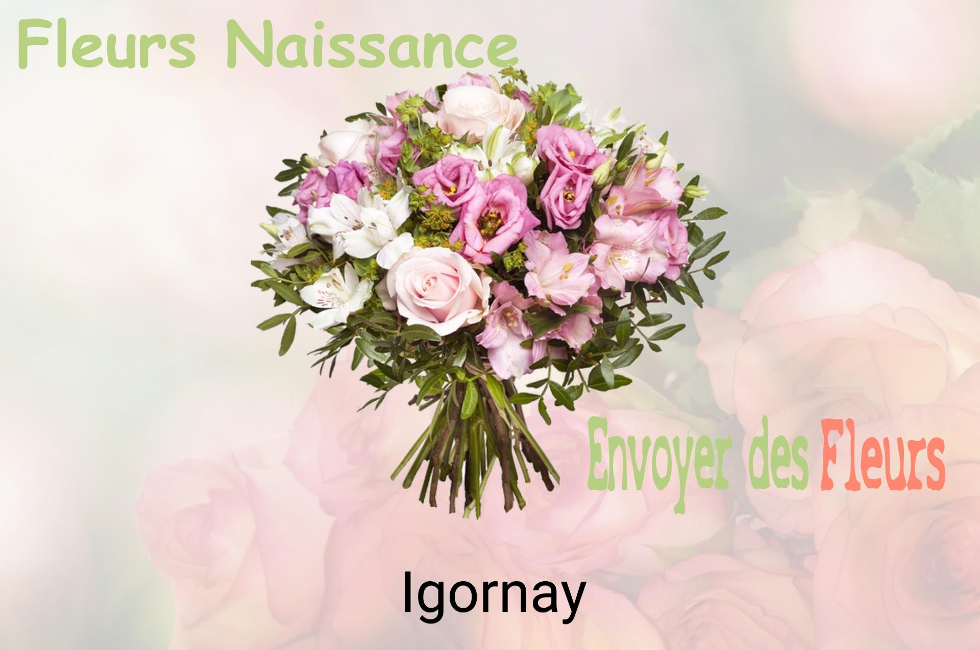 Bouquet de fleurs de naissance livré à Igornay